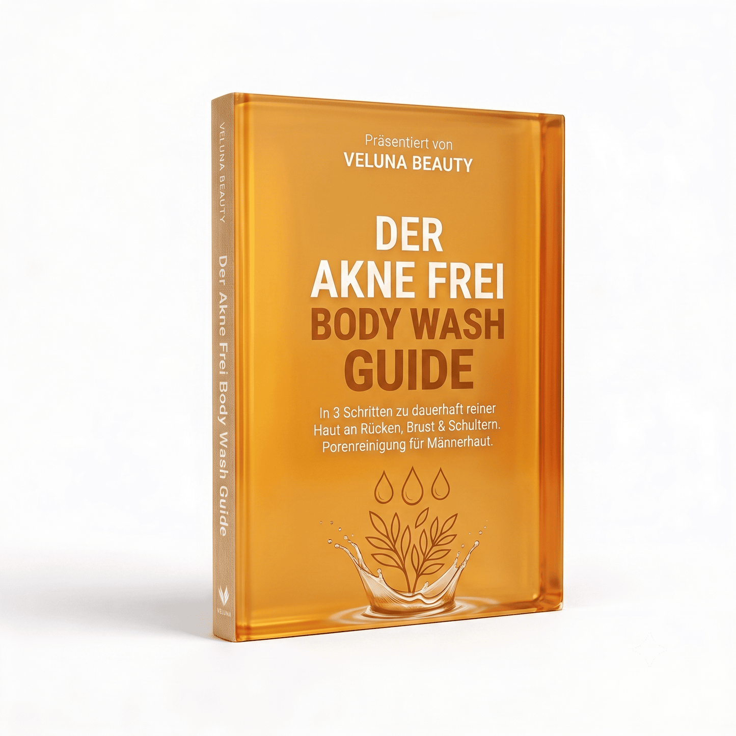 Veluna Akne Frei E-Book